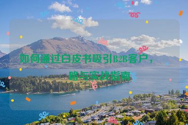 如何通過白皮書吸引B2B客戶，策略與實(shí)戰(zhàn)指南
