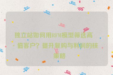獨(dú)立站如何用RFM模型篩選高價(jià)值客戶(hù)？提升復(fù)購(gòu)與利潤(rùn)的核心策略
