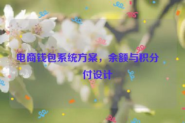 電商錢包系統(tǒng)方案，余額與積分支付設(shè)計