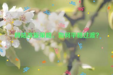 網(wǎng)站改版策略，如何平穩(wěn)過渡？