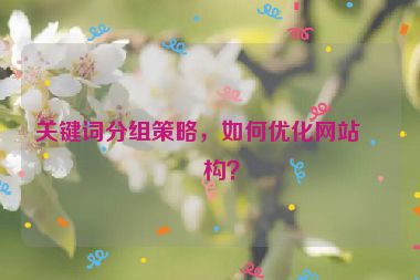 關(guān)鍵詞分組策略，如何優(yōu)化網(wǎng)站結(jié)構(gòu)？