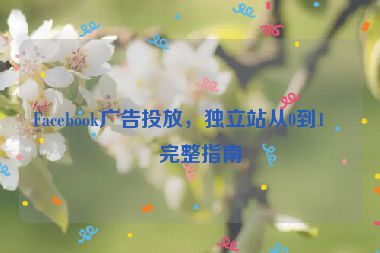 Facebook廣告投放,獨(dú)立站從0到1的完整指南