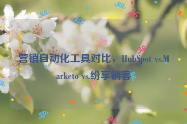 營(yíng)銷(xiāo)自動(dòng)化工具對(duì)比，HubSpot vs.Marketo vs.紛享銷(xiāo)客