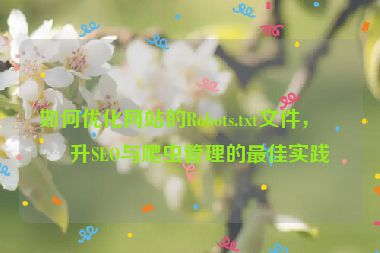 如何優(yōu)化網(wǎng)站的Robots.txt文件，提升SEO與爬蟲管理的最佳實(shí)踐
