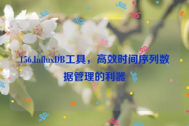 156.InfluxDB工具，高效時(shí)間序列數(shù)據(jù)管理的利器