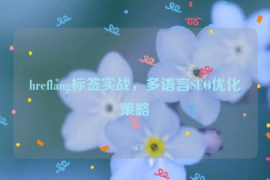 hreflang標(biāo)簽實(shí)戰(zhàn)，多語言SEO優(yōu)化策略