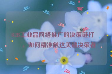 B2B工業(yè)品網(wǎng)絡推廣的決策鏈打法，如何精準觸達關(guān)鍵決策者
