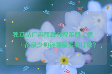 獨立站廣告預(yù)算分配策略，怎樣花最少的錢賺最多的訂單？