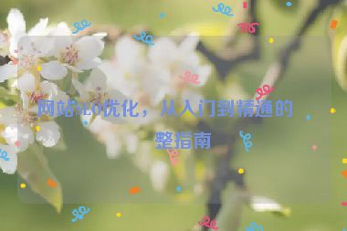 網(wǎng)站SEO優(yōu)化，從入門到精通的完整指南