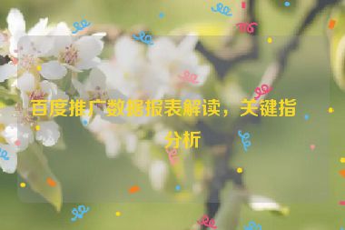 百度推廣數(shù)據(jù)報(bào)表解讀，關(guān)鍵指標(biāo)分析