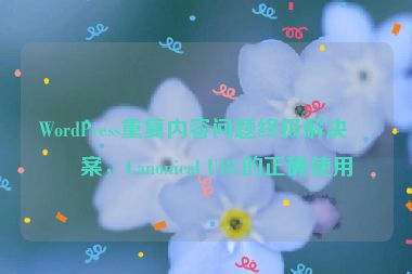 WordPress重復(fù)內(nèi)容問題終極解決方案，Canonical URL的正確使用