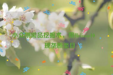 小眾剛需品挖掘術(shù)，用Helium10發(fā)現(xiàn)壟斷類目