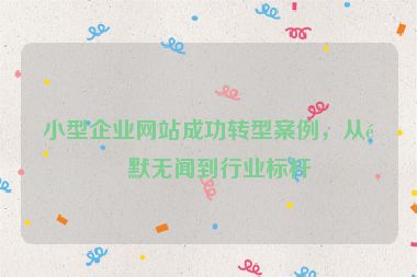 小型企業(yè)網(wǎng)站成功轉(zhuǎn)型案例，從默默無聞到行業(yè)標(biāo)桿