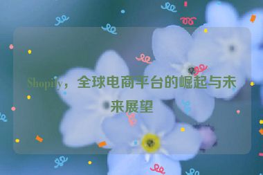 Shopify，全球電商平臺(tái)的崛起與未來展望