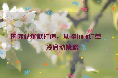國際站爆款打造，從0到1000訂單的冷啟動策略