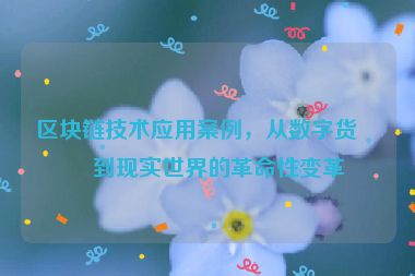 區(qū)塊鏈技術(shù)應(yīng)用案例，從數(shù)字貨幣到現(xiàn)實世界的革命性變革