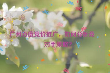 廣州百度競(jìng)價(jià)推廣，如何分析競(jìng)爭(zhēng)對(duì)手策略？