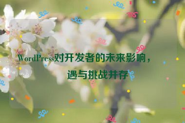 WordPress對(duì)開發(fā)者的未來(lái)影響，機(jī)遇與挑戰(zhàn)并存