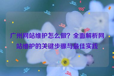 廣州網(wǎng)站維護(hù)怎么做？全面解析網(wǎng)站維護(hù)的關(guān)鍵步驟與最佳實(shí)踐
