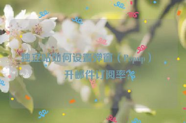 獨立站如何設(shè)置彈窗（Popup）提升郵件訂閱率？