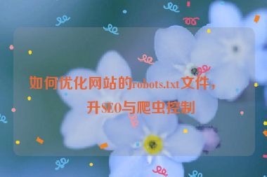 如何優(yōu)化網站的robots.txt文件，提升SEO與爬蟲控制