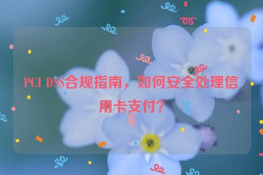 PCI DSS合規(guī)指南，如何安全處理信用卡支付？