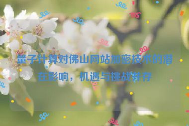 量子計(jì)算對(duì)佛山網(wǎng)站加密技術(shù)的潛在影響，機(jī)遇與挑戰(zhàn)并存