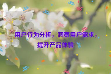 用戶行為分析，洞察用戶需求，提升產品體驗