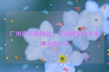 廣州白云做網(wǎng)站，打造數(shù)字化未來的關(guān)鍵一步