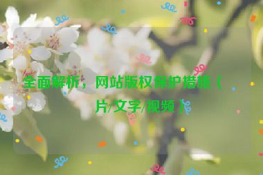 全面解析，網(wǎng)站版權(quán)保護(hù)措施（圖片/文字/視頻）