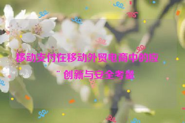 移動(dòng)支付在移動(dòng)外貿(mào)電商中的應(yīng)用創(chuàng)新與安全考量