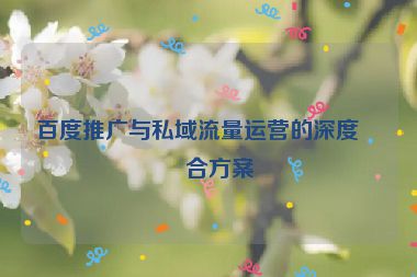 百度推廣與私域流量運(yùn)營(yíng)的深度結(jié)合方案
