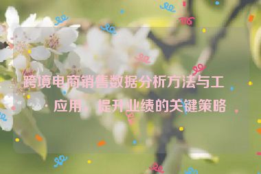 跨境電商銷售數(shù)據(jù)分析方法與工具應用，提升業(yè)績的關(guān)鍵策略