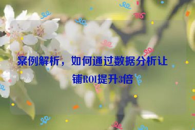 案例解析，如何通過數(shù)據(jù)分析讓店鋪ROI提升3倍