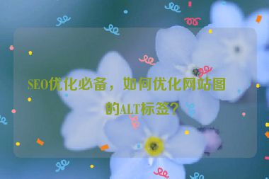 SEO優(yōu)化必備，如何優(yōu)化網(wǎng)站圖片的ALT標(biāo)簽？
