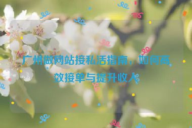 廣州做網(wǎng)站接私活指南，如何高效接單與提升收入