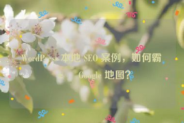 WordPress 本地 SEO 案例，如何霸屏 Google 地圖？