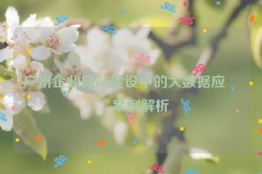 廣州企業(yè)網站建設中的大數據應用案例解析
