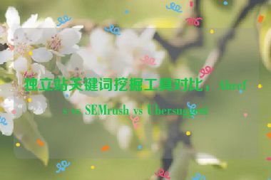 獨立站關(guān)鍵詞挖掘工具對比，Ahrefs vs SEMrush vs Ubersuggest