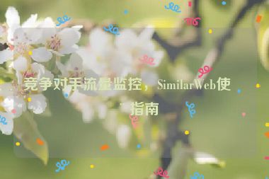 競(jìng)爭(zhēng)對(duì)手流量監(jiān)控，SimilarWeb使用指南