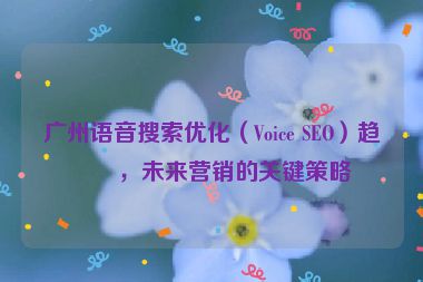 廣州語音搜索優(yōu)化（Voice SEO）趨勢，未來營銷的關(guān)鍵策略