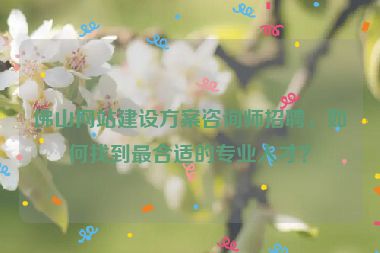 佛山網(wǎng)站建設方案咨詢師招聘，如何找到最合適的專業(yè)人才？