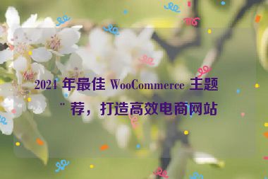 2024 年最佳 WooCommerce 主題推薦，打造高效電商網(wǎng)站