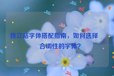 獨立站字體搭配指南，如何選擇符合調(diào)性的字體？