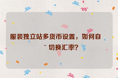 服裝獨(dú)立站多貨幣設(shè)置，如何自動(dòng)切換匯率？