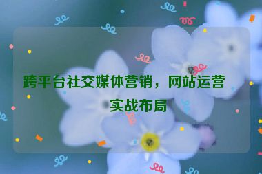 跨平臺社交媒體營銷，網(wǎng)站運營的實戰(zhàn)布局