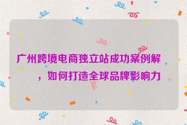 廣州跨境電商獨立站成功案例解析，如何打造全球品牌影響力