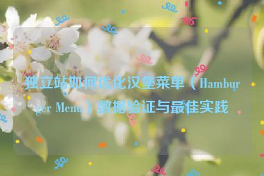 獨立站如何優(yōu)化漢堡菜單（Hamburger Menu）數(shù)據(jù)驗證與最佳實踐