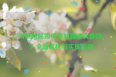 廣州做網站如何添加直播賣貨功能？全面解析與實操指南