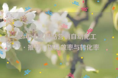 2023年十大網(wǎng)站營(yíng)銷(xiāo)自動(dòng)化工具推薦，提升效率與轉(zhuǎn)化率